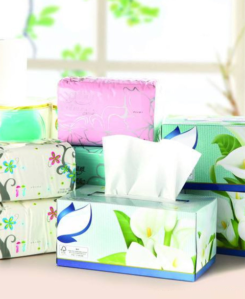 西咸新區(qū)灃東新城潔麗紙品廠